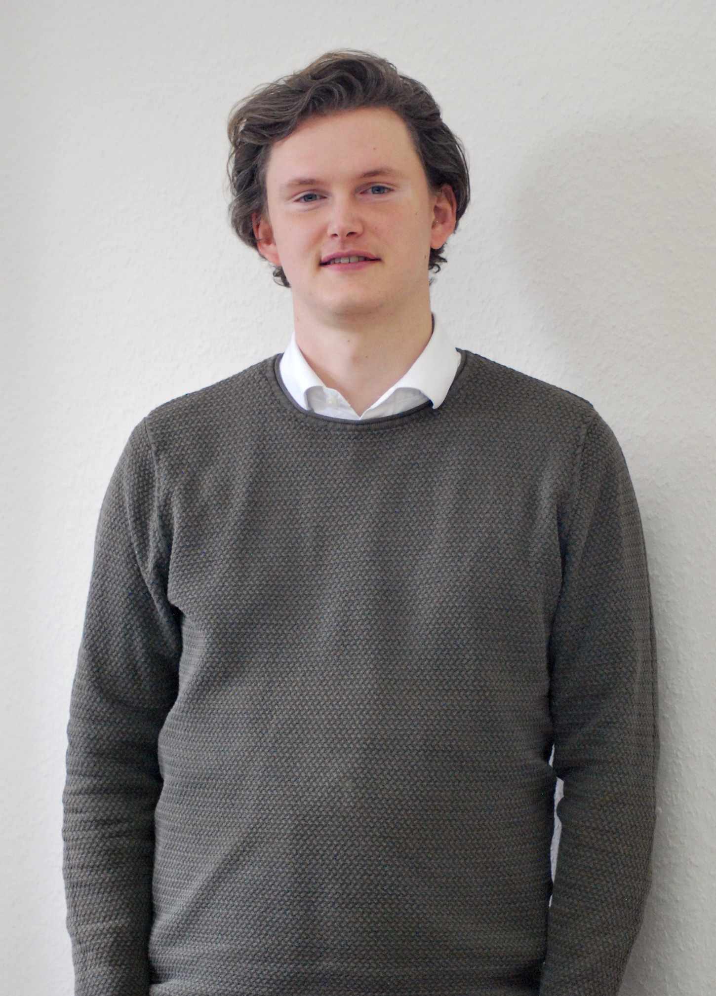 Bild von Bane Hollatz